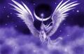 Thumbnail for version as of 12:01, March 3, 2013