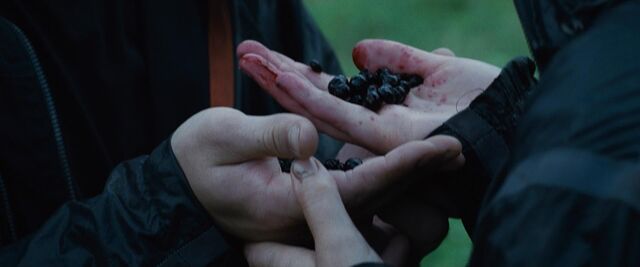File:Thehungergames-9433.jpg