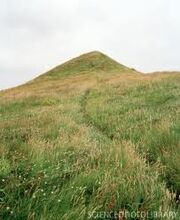 O' grassy hill