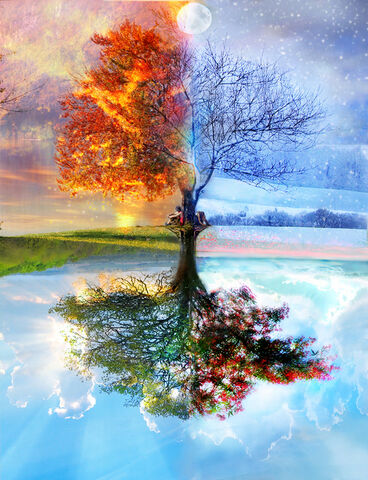 File:Treeinfourseasons.jpg