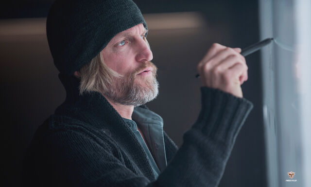 File:Haymitch Mockingjay 2.jpg