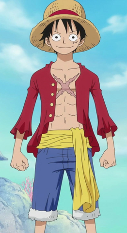 File:LuffyTimeSkip.png