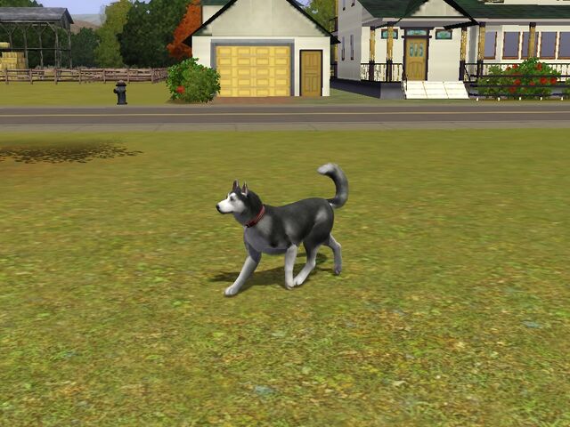 File:Screenshot-64.jpg
