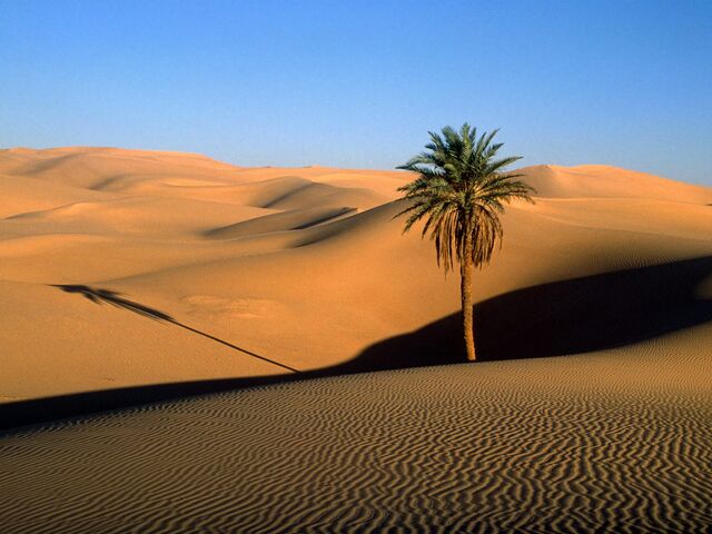 File:Desert region.jpg