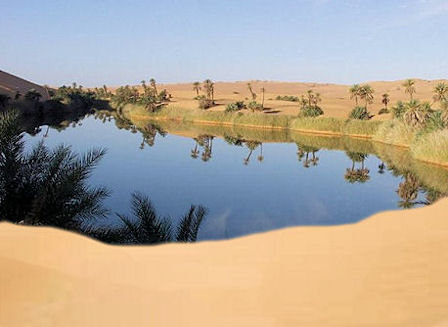 File:Oasis.jpg