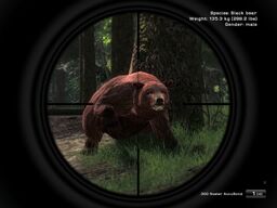 Schwarzbär Angriff.jpg