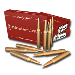 .300 Nosler AccuBond