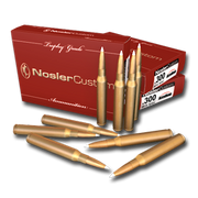 Cartridges 300 256