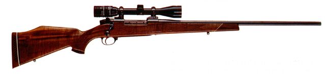 File:Rifle.jpg