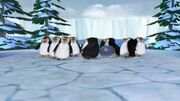 300px-Penguins