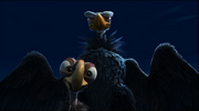 300px-Condorchick