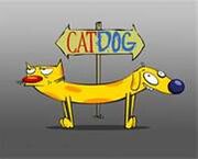 Cat-dog