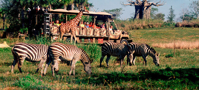 File:Kilamnjaro Safari.jpg
