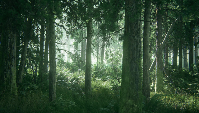 Fichier:Ouverture du teaser TLOU2.png