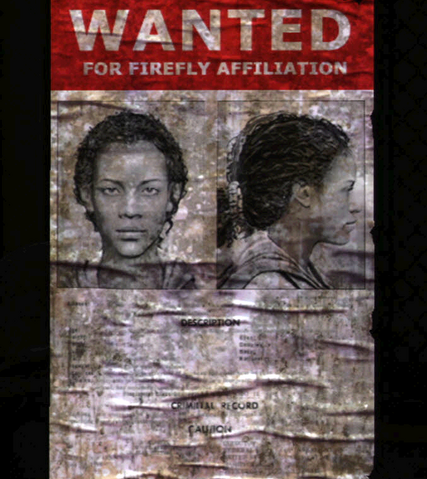 Файл:Artifact - Wanted Poster.png