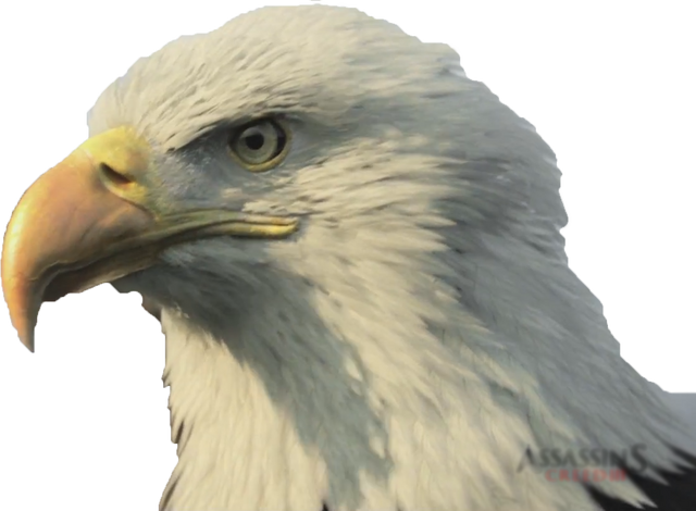 Archivo:Assassins-Creed-3-Wallpaper-yuiphone-Eagle-1920x1080.png