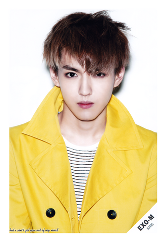File:Kris MAMA.png