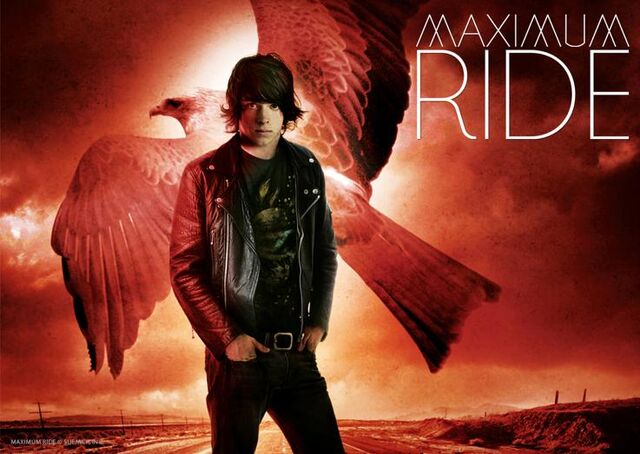 File:Fang-maximum-ride-31402671-737-523.jpg