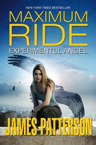 File:The Angel Experiment (Romania).jpg