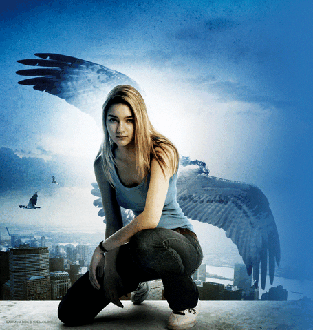 File:Max regular.gif