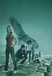 The Flock (Maximum Ride Facebook image)