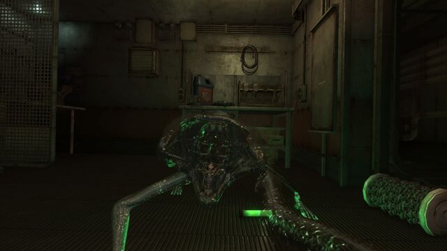 File:Hunter.jpg