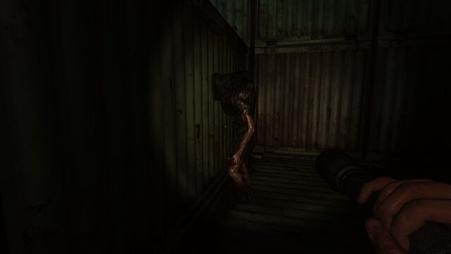 File:Peek-a-boo..jpg