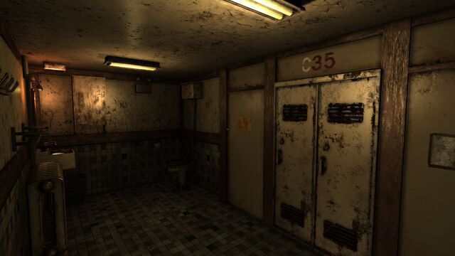 File:C35 washroom1.jpg