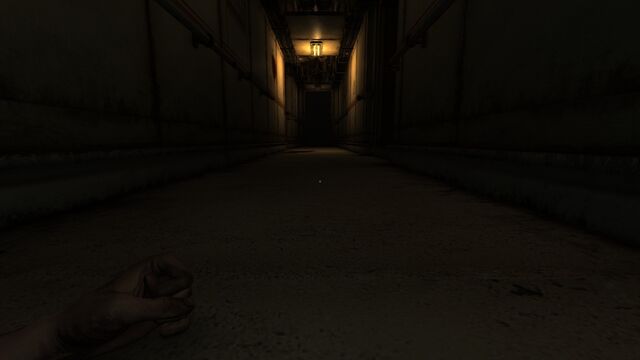 File:Pit Trap PoV.jpg