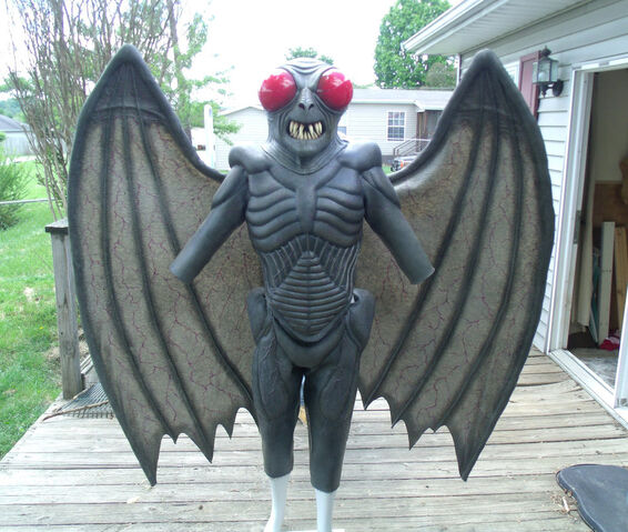 File:Moth209.jpg