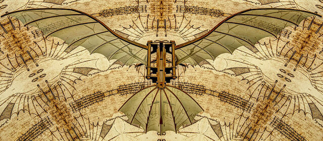 File:Moth315.jpg