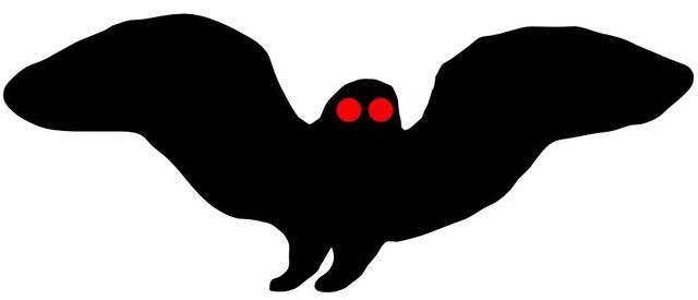 File:Moth353.jpg