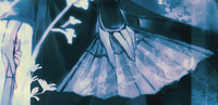 Souka Fans