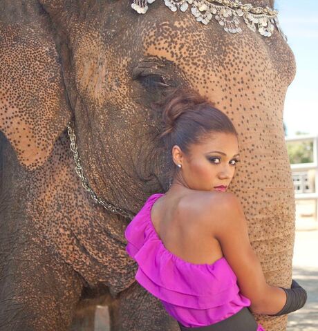 File:Toks Olagundoye Elephant.jpg