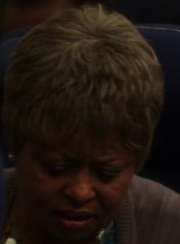 File:Passenger 3.jpg