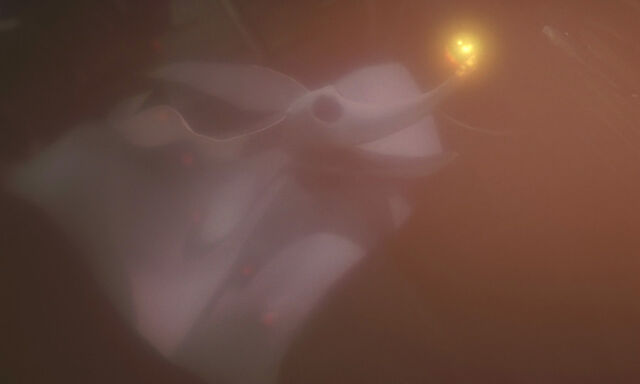 File:Nightmare-christmas-disneyscreencaps.com-6199.jpg