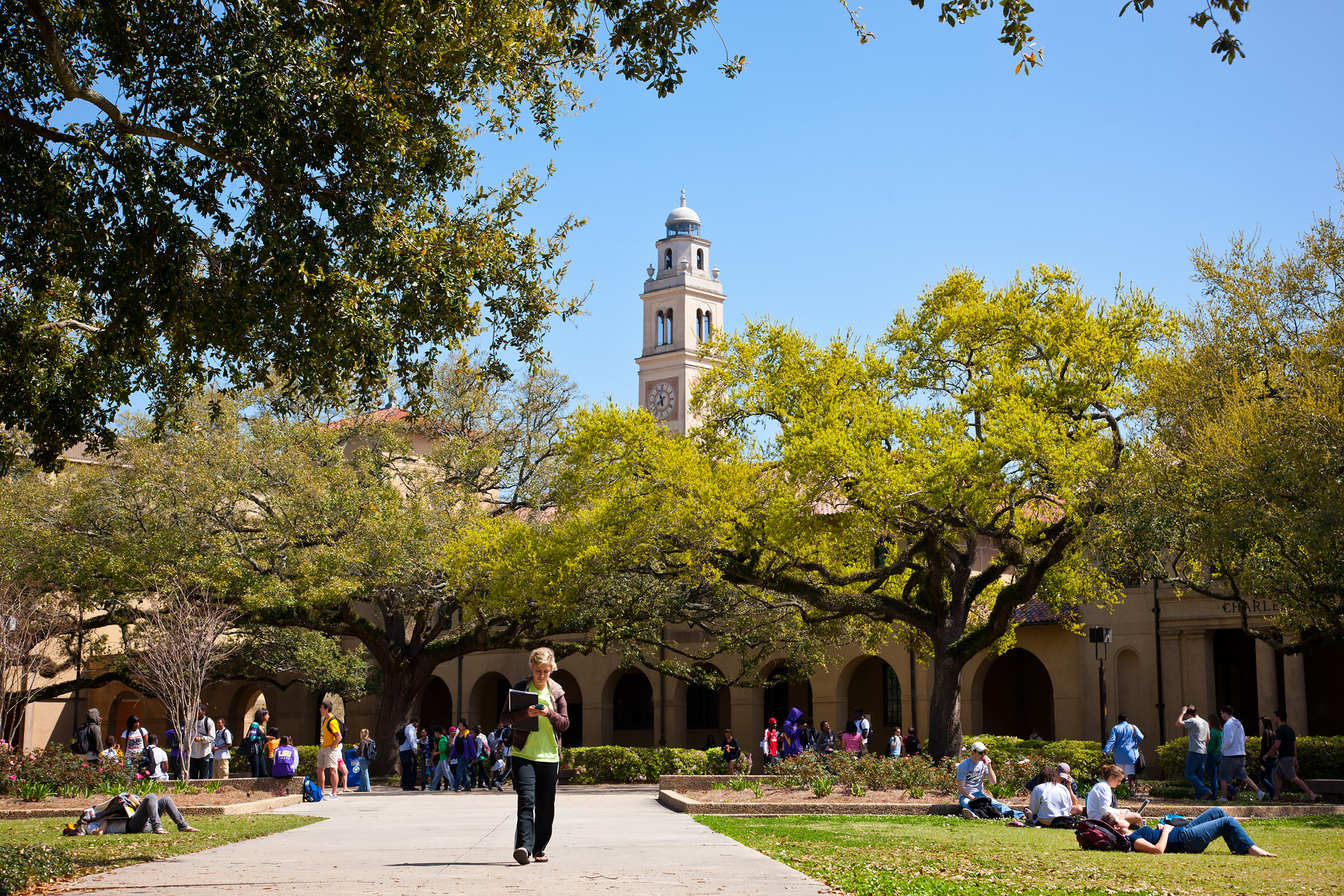 Image result for louisiana state campus