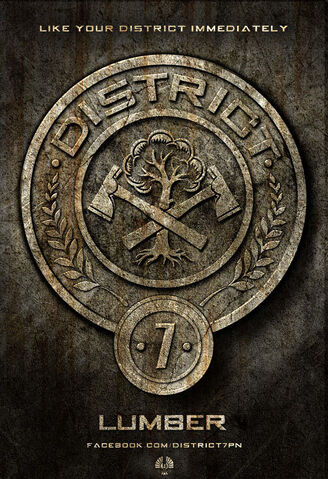 File:The-Hunger-Games-2012-Movie-District-Posters-7.jpg