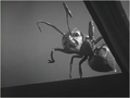 Thumbnail for version as of 23:50, June 5, 2011