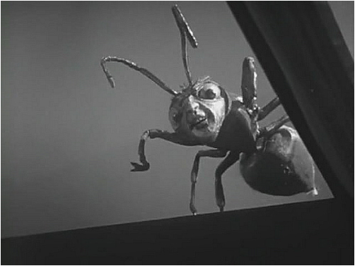 File:ZANTI6.PNG