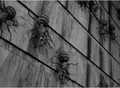 Thumbnail for version as of 23:47, June 5, 2011