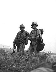 Puller at Korea