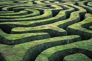 HedgeMaze