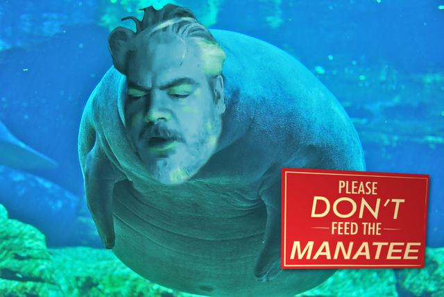 File:Dont-feed-the-manatee.png