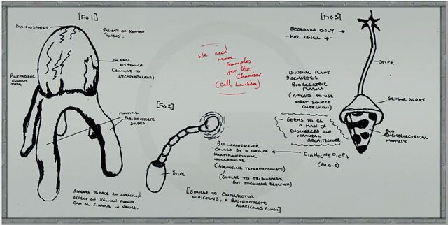 File:C2a4x labboard11.jpg