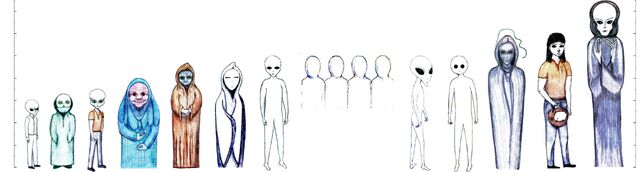 File:ET Heights.jpg