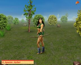 Amazon archer
