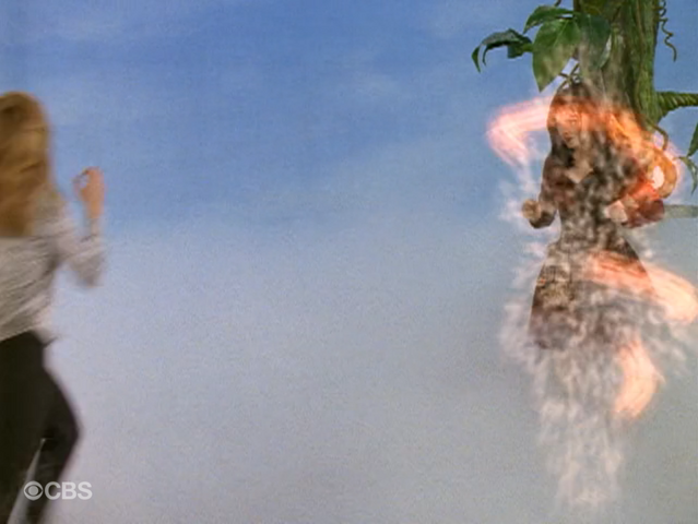 File:Wicked witch.png