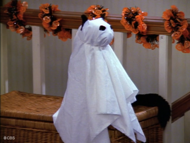 File:Salem as a Ghost.png