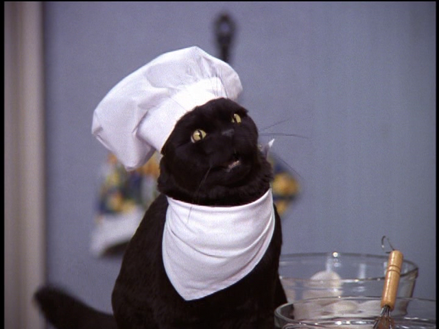 File:Chef Salem.png